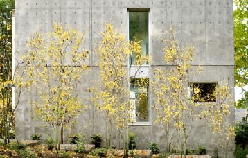 Architecture