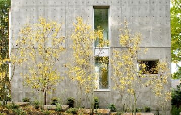 Architecture