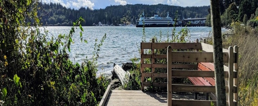 Bench by a lake