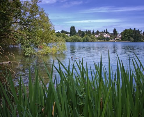 Green Lake, Seattle