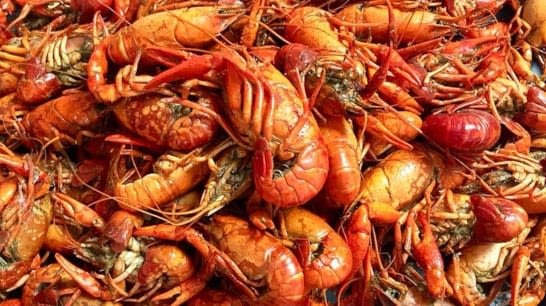 crawfish boiled or stir-fried with shells intact