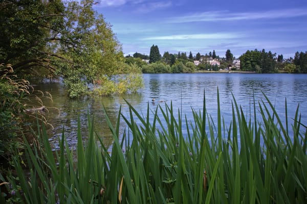 Green Lake Seattle